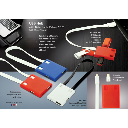 USB Hub with detachable cable - C101