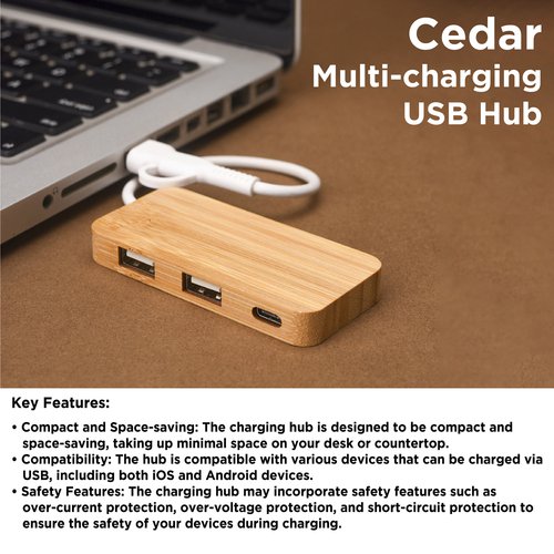 Cedar multi-charging USB Hub WAH9001