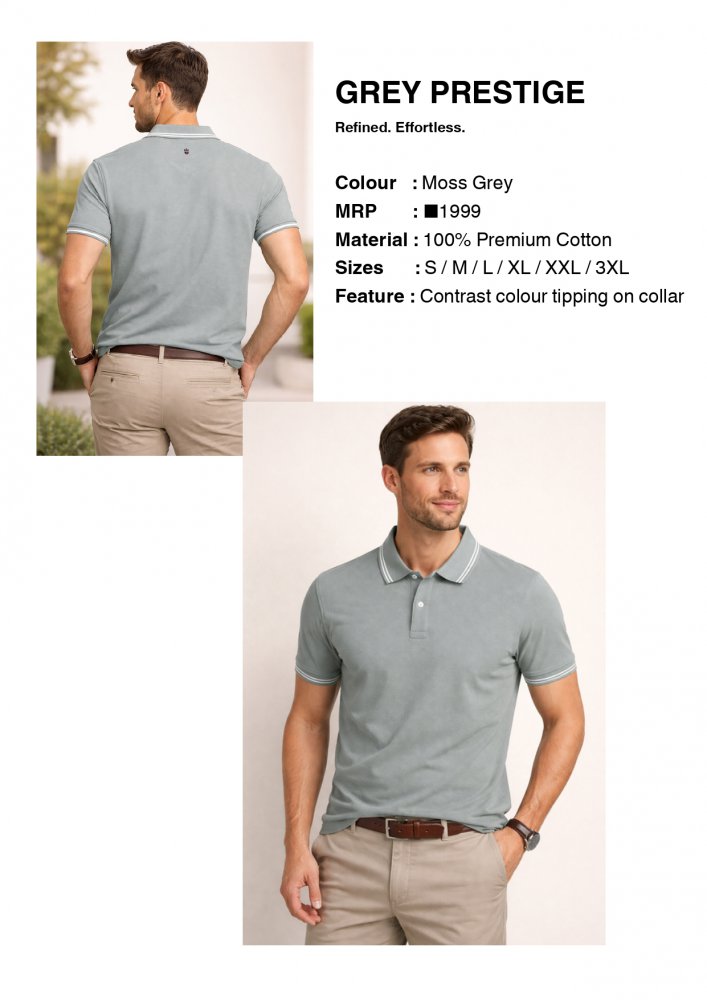 Louis Philippe T shirt Grey